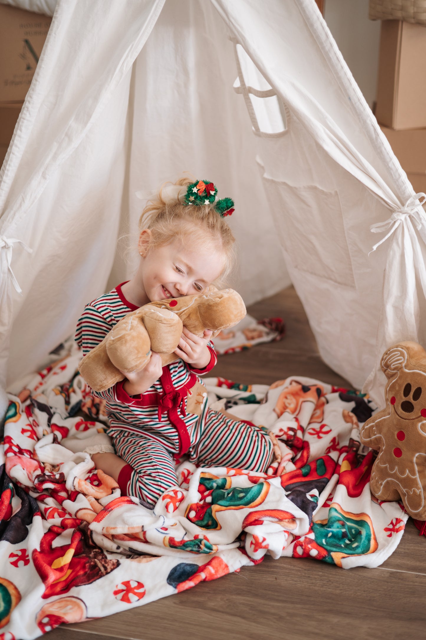 Gingerbread mickey plush collection 30 cms