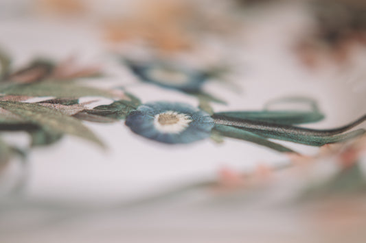 Wild Meadow Set