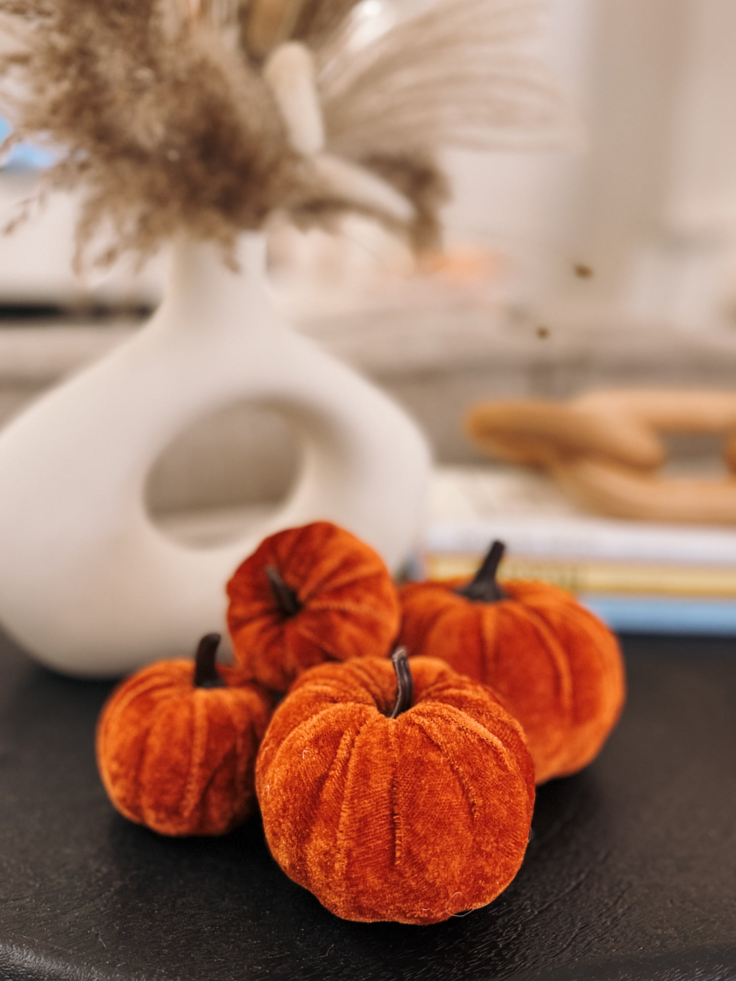 Velvet Pumpkin Set